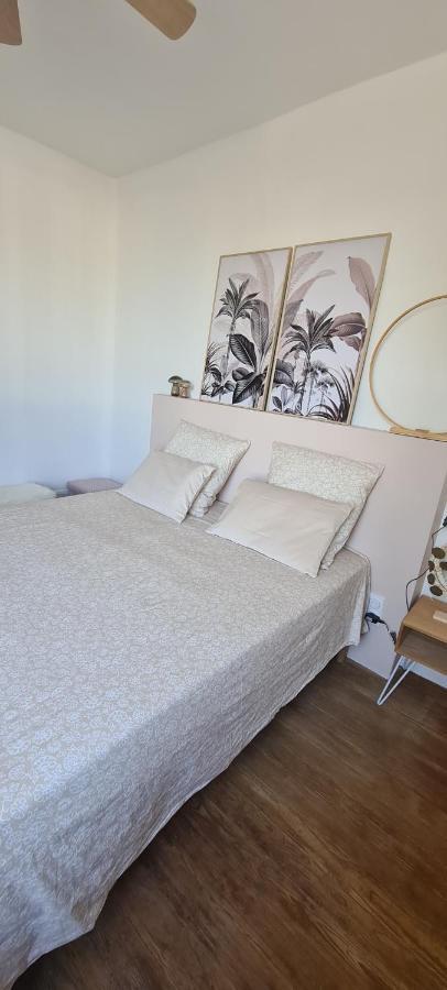 Maison De Ville Au Bord Du Lez, 170M2 Cosy. Bollène Esterno foto